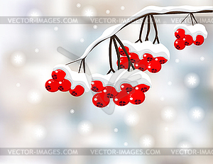 Winter background with red berries and snow  - royalty-free vector clipart