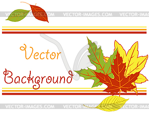 Bright pattern with autumn leaves - vector clipart / vector image