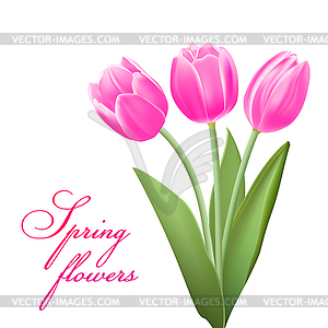 Realistic tulips bouqet - vector clip art