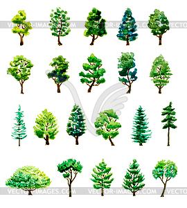 Set of watercolor different trees. illustratio - vector image