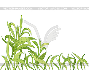 Cartoon grass background - vector clipart