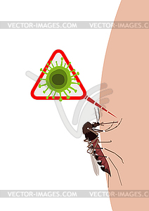 Mosquito on human skin transmitting virus infection - royalty-free vector clipart