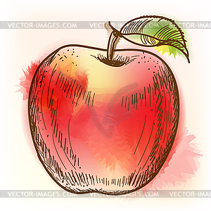 Red apple, watercolor painting - vector clipart