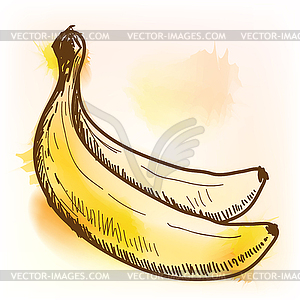 Banana, watercolor painting - color vector clipart