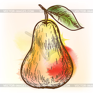 Pear, watercolor painting - vector image