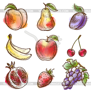 Set of fruits - vector clip art