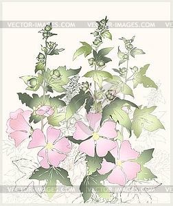Pink flowers mallow with green leaves. Greeting card wi - vector clipart
