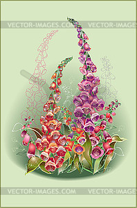 Greeting card with foxglove. foxglove - vector image