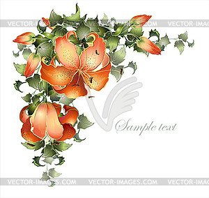 Vintage postcard with ivy and lily. Decorative - royalty-free vector clipart