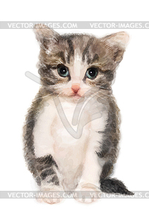 Fluffy kitten. Imitation of watercolor painting - vector clipart