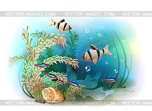 Tropical underwater world. Aquarium fish - vector clipart