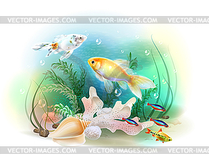 Tropical underwater world. Aquarium fish - vector image