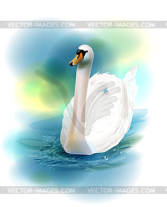 White swan - vector clip art