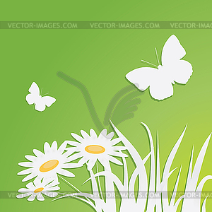 Butterfly - vector image