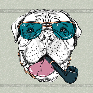 Funny cartoon hipster dog Bullmastiff - vector clipart