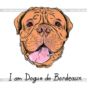 Funny cartoon hipster dog French Mastiff - vector clip art