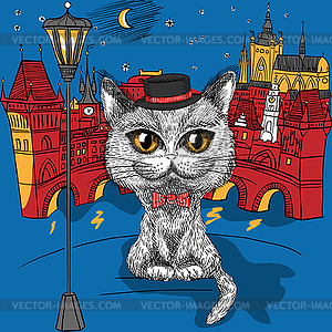 Cat in Prague, Prague Castle and Charles Bridge - royalty-free vector clipart
