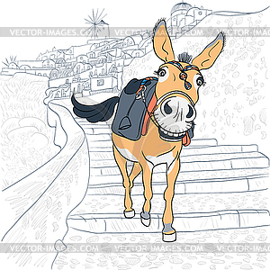 Donkey in Oia, Santorini - vector clipart