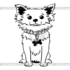 Sketch funny chihuahua dog sitting - vector image