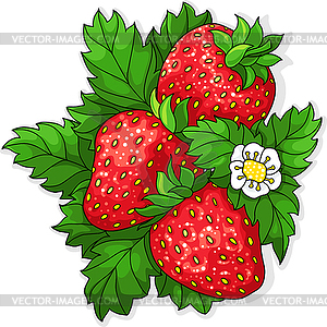 Ripe juicy strawberries - vector clipart