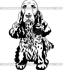 Black and white sketch of dog English Cocker Spaniel - vector clipart