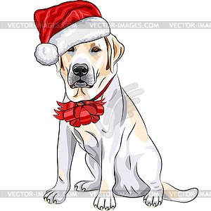 Лабрадор в шляпу Санта-Клауса с Рождеством - векторный клипарт Royalty-Free