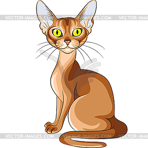 Цветной эскиз красного абиссинская порода кошек - стоковый векторный клипарт
