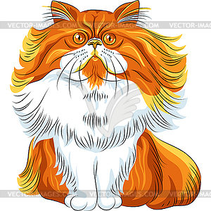 Color sketch fluffy Persian cat - vector image