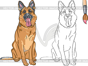 Coloring Book of smiling dog German shepherd - vector clipart