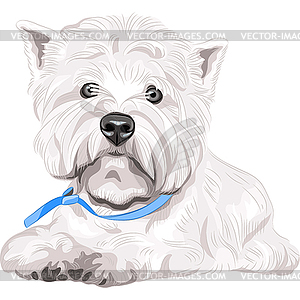 Серьезная собака Вест-хайленд-уайт-терьер породы - векторное изображение EPS