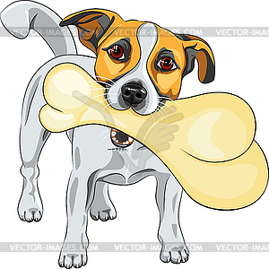 Dog Jack Russell Terrier keeps bone - vector clipart / vector image