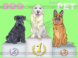 Happy dog champion on podium - vector clip art