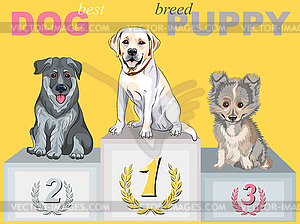 Happy puppy dog champion on podium - vector image