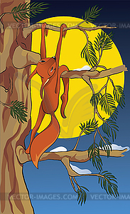 3362 - Funny crazy squirrel - royalty-free vector clipart