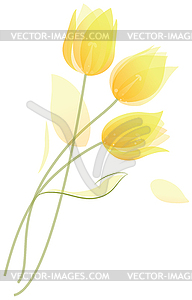 Bouquet of tulips - vector image