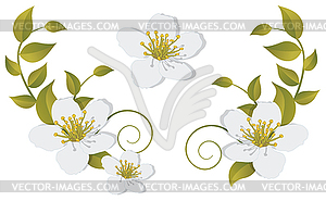 Flowering branch - design elements - vector image