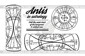 Antis in astrology - royalty-free vector image