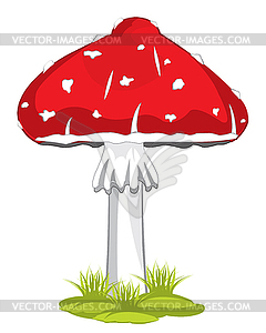 Mushroom fly agaric - royalty-free vector image