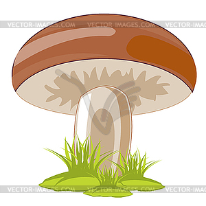 Mushroom in herb - vector clipart