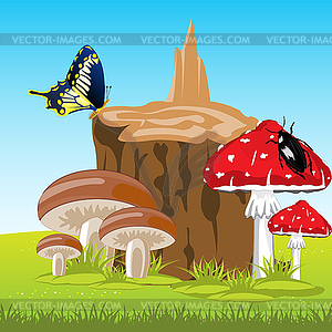 Mushrooms beside stump - vector image