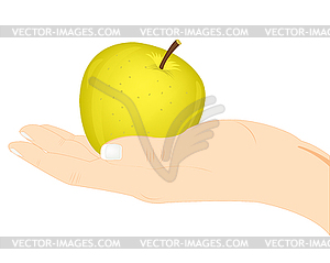 Яблоко в руке - клипарт в векторе / векторное изображение