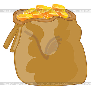 Bag with coin - vector image
