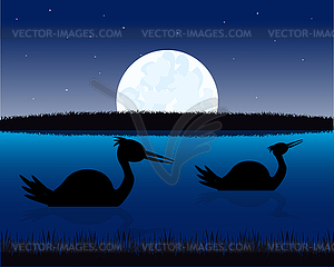 Night landscape with water and bird - vector image