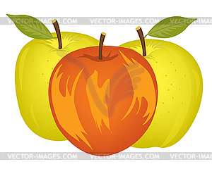 Three apples - vector image