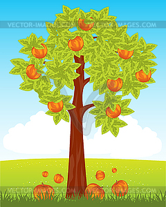 Aple дерево с красным яблоком - векторизованное изображение клипарта