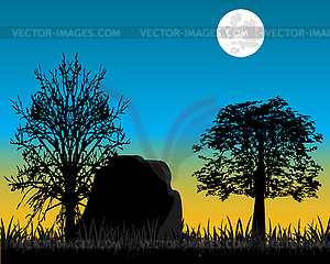 Beautiful dawning in wood - vector clipart