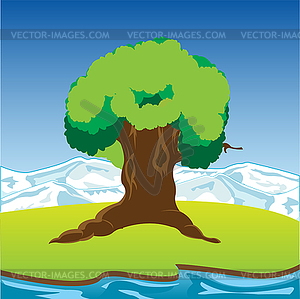 Big riverside tree - vector image