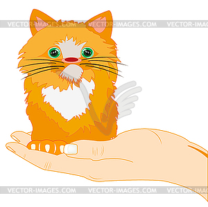 Redhead kitty on palm - vector clip art