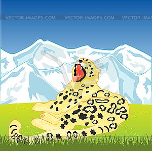 Snow leopard on nature - vector image