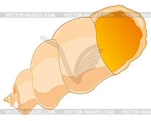 Empty sea seashell - vector image